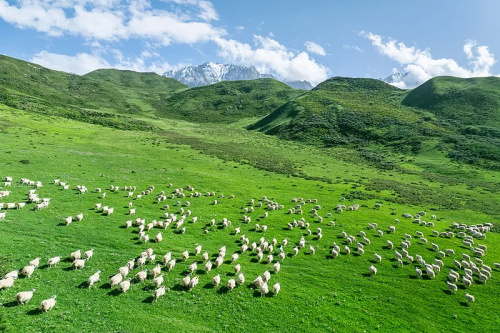 304am永利集团官网(中国)有限公司-Official Website